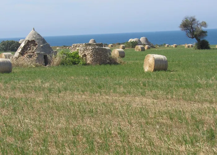 Nisea Polignano a Mare