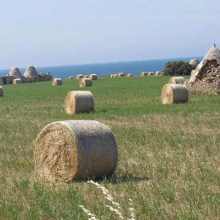 Nisea Polignano a Mare