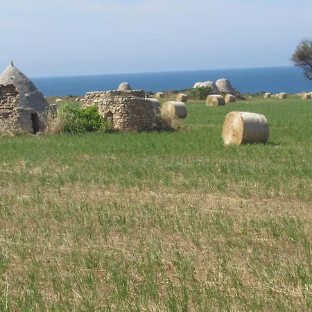 Nisea Polignano a Mare