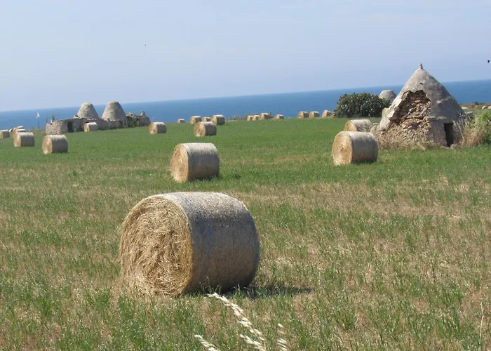 Nisea Polignano a Mare